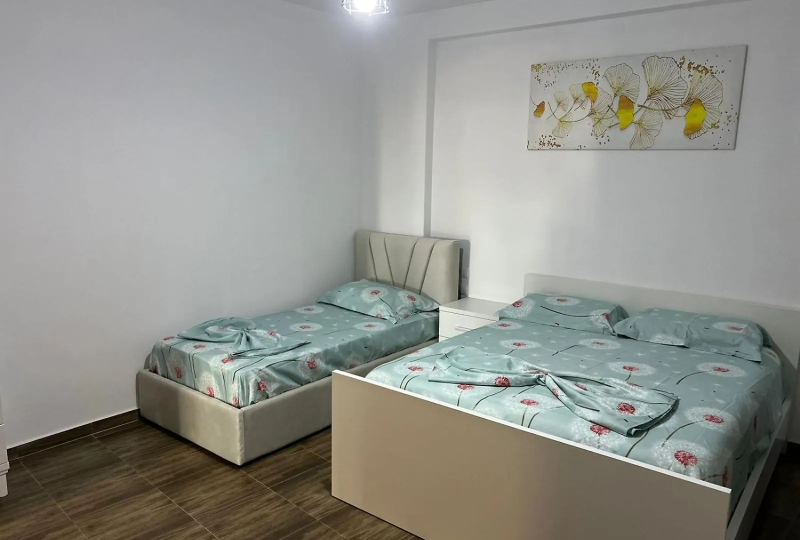 Shkoder Central Flat Apartment 0*,  Albania